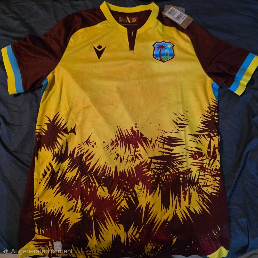 Cricket west indies 2023-25